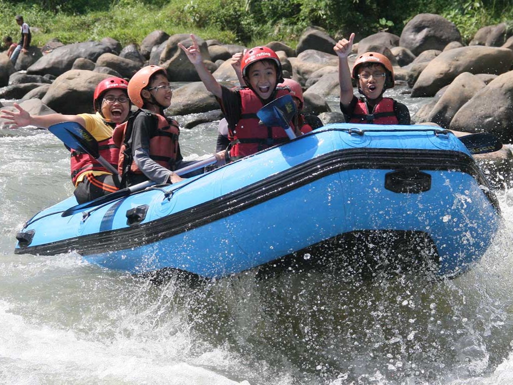 arum jeram